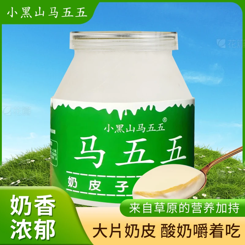 小黑山马五五奶皮子老酸奶经典单罐发酵口感绵密