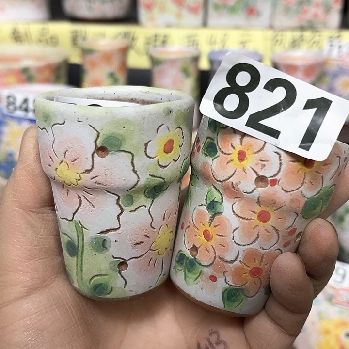 红陶满48包邮多肉花盆