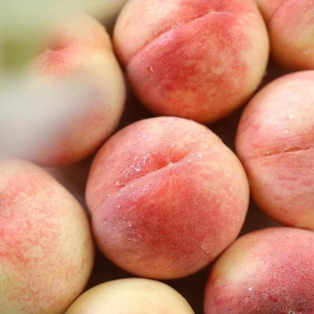 江苏无锡湖景水蜜桃一箱8个礼盒装，好甜江西省