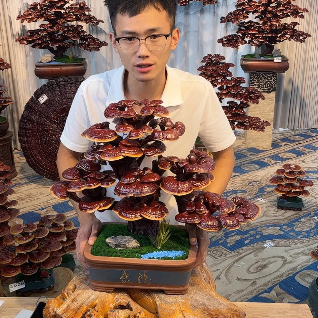 无花朵88888888888888