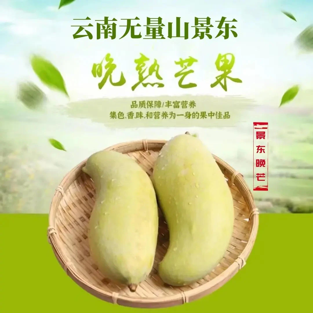 中秋好物鹰嘴香甜热带水果柚子