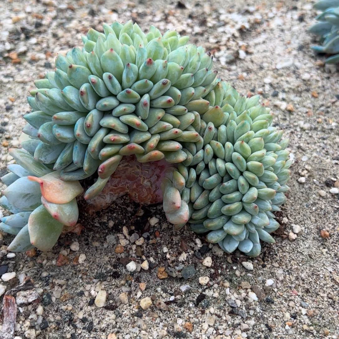 9符合环境工程不进