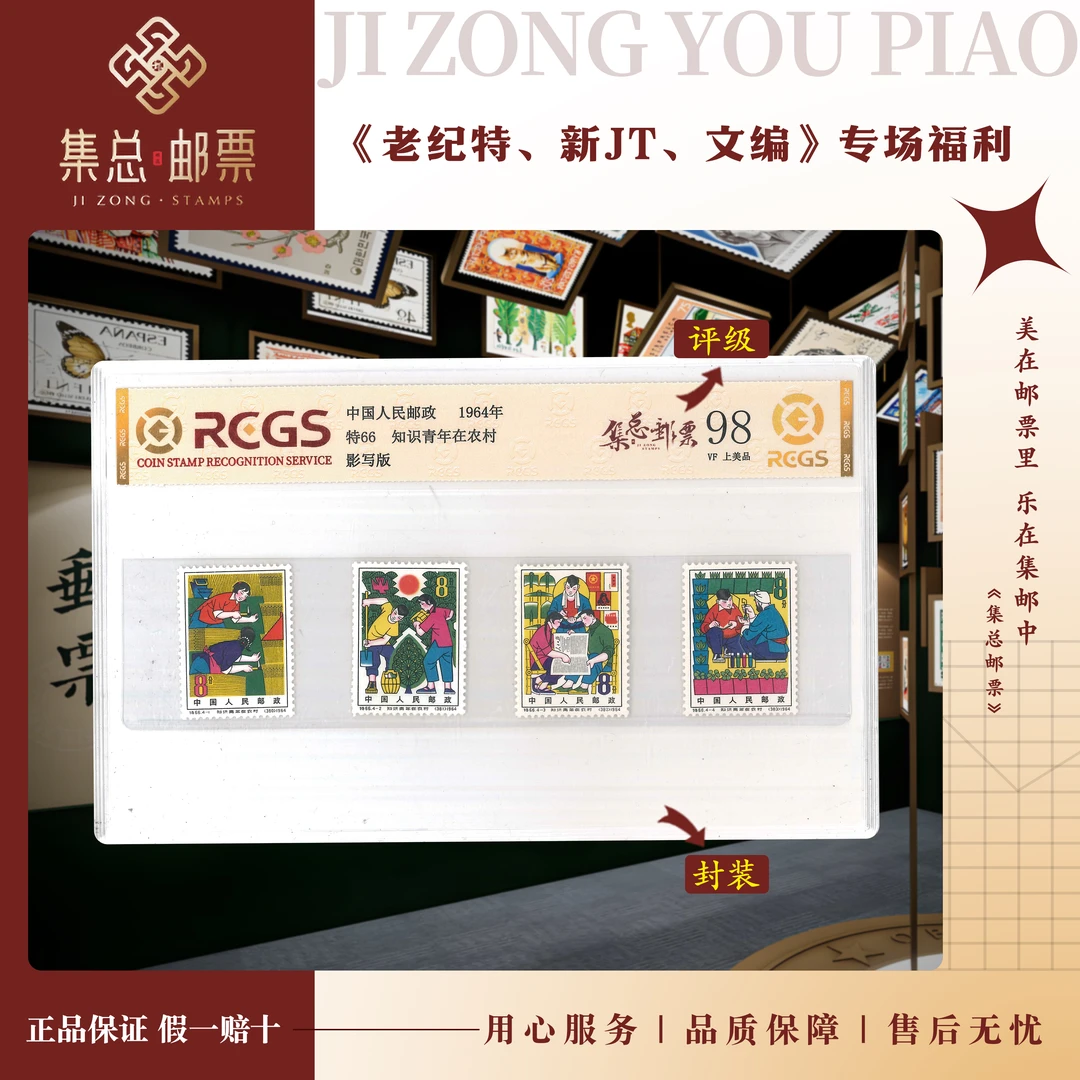 【集总邮票】老纪特特66 知青在农村 中钱国信98分评级展示集邮发行