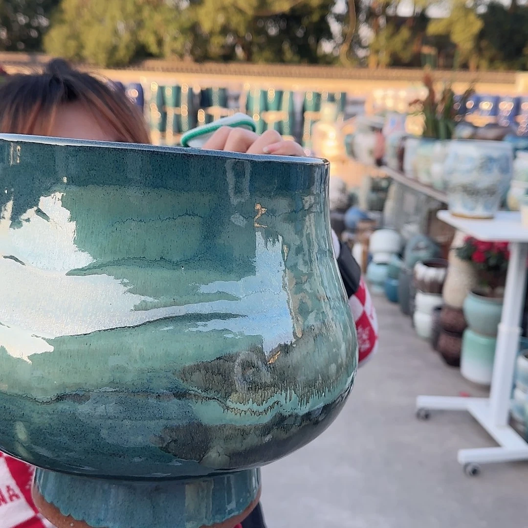 王嫂花盆1120-166高25口22