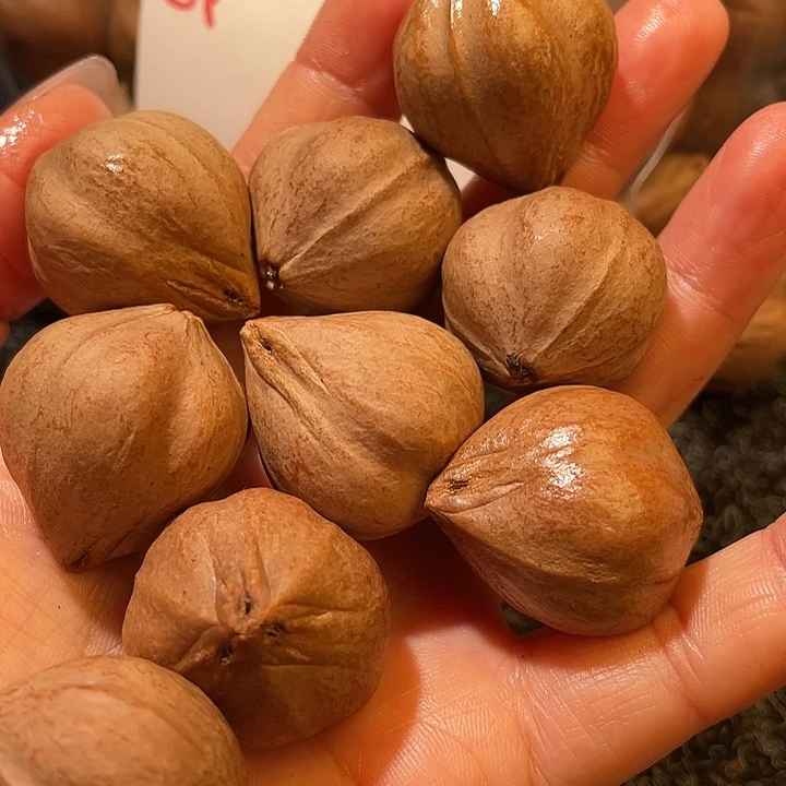 腾***橄榄核吊坠2.5✖️2.9