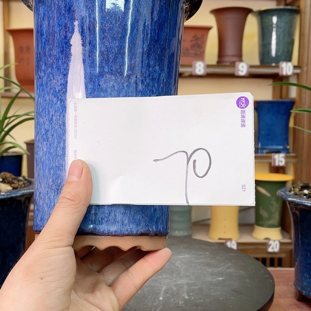 【闪购商品】紫砂花盆清****楼兰花755524555855558855