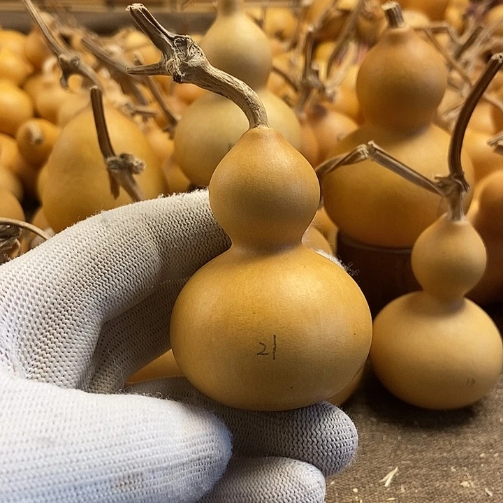 文玩葫芦 完美主义者 慎拍21