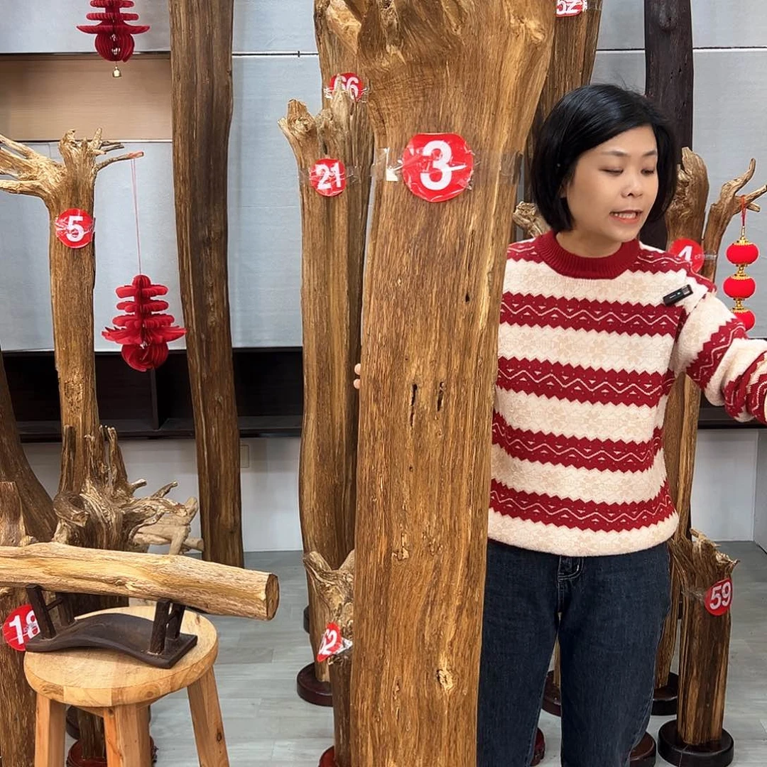 沉香摆件随*海南沉香摆件