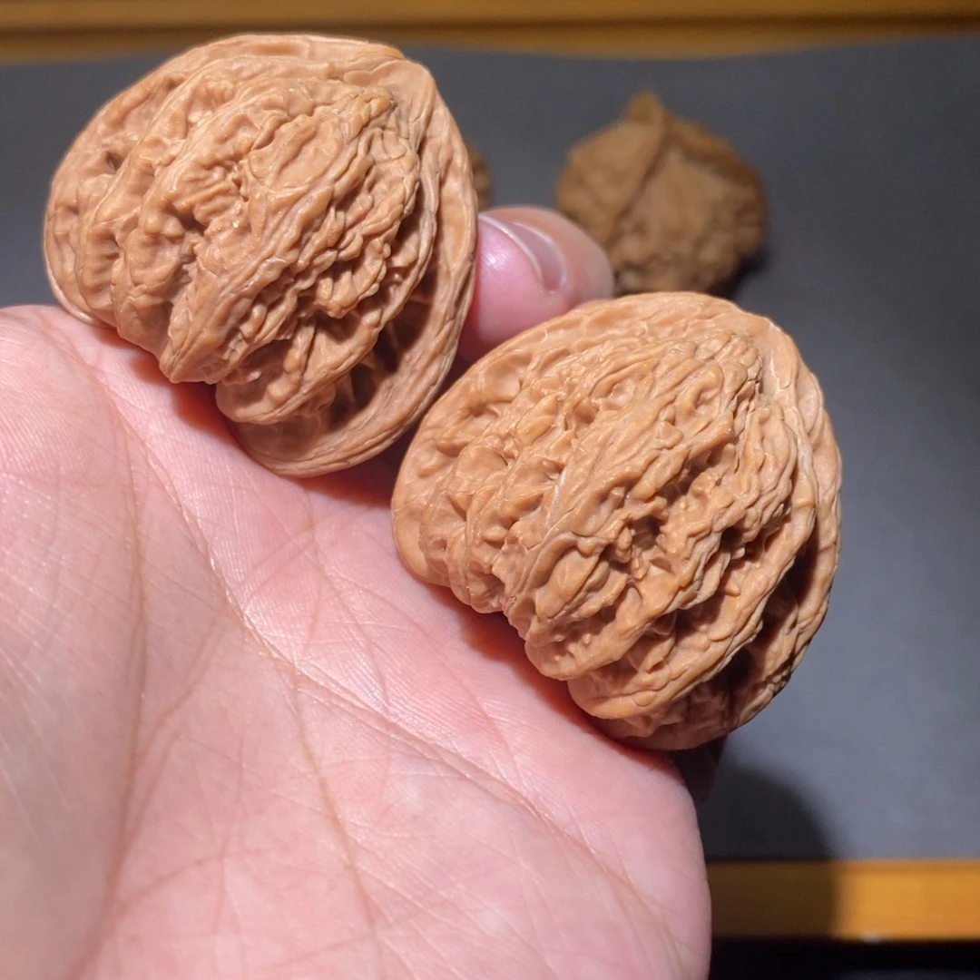 木质41山西密文全品