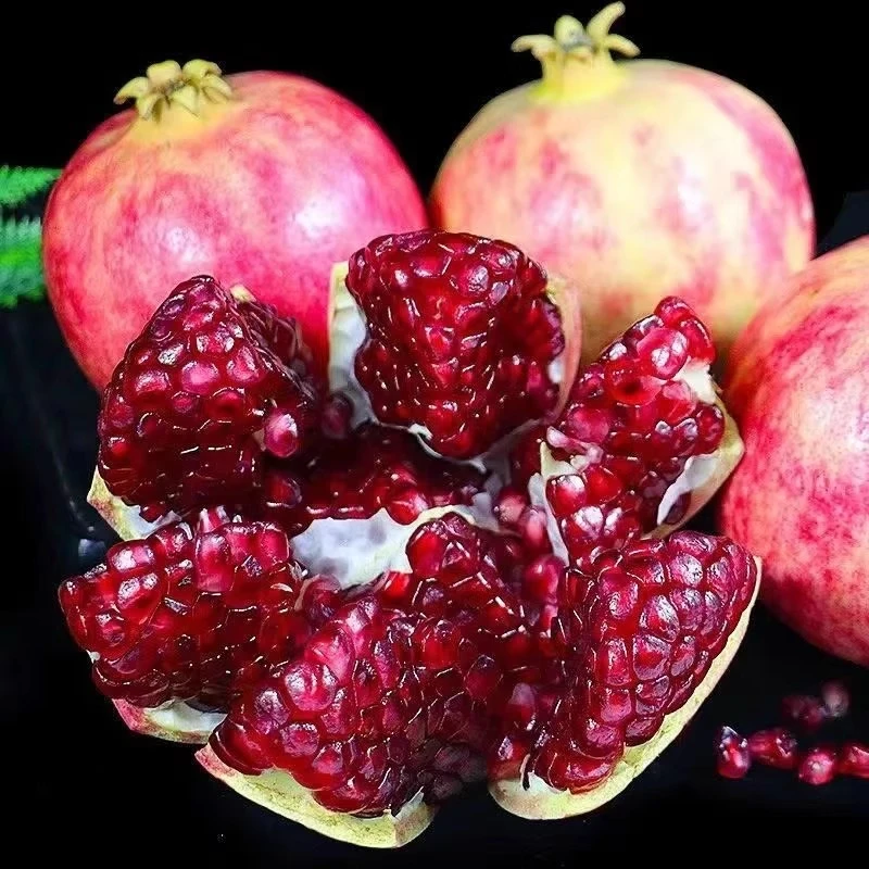 四川会理软籽石榴新鲜采摘爆汁不吐籽
