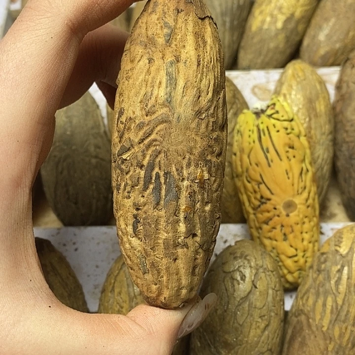 子***基千眼菩提吊坠菩提