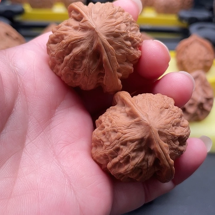 全品无修金牛38/37/37