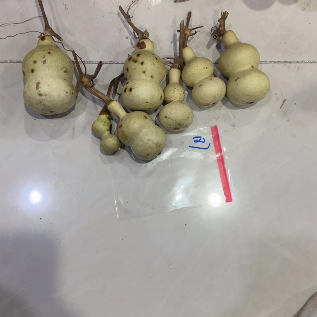 邓***店青及不包成ghhggggggggh