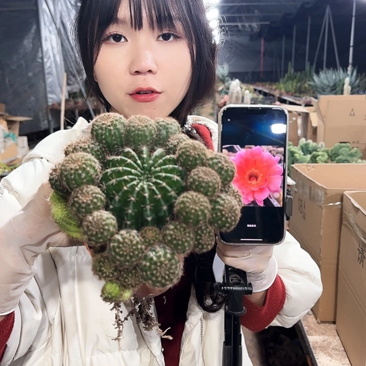 山脉天际线11111111