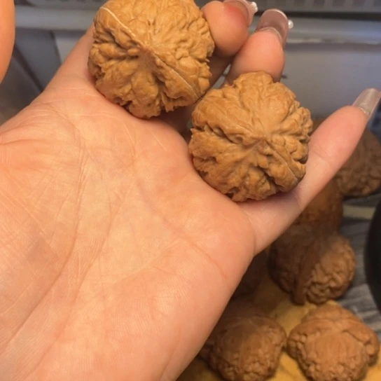 文玩核桃吊坠霸王龙