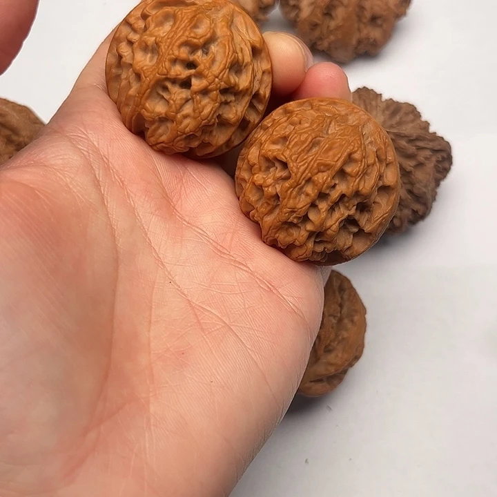 核桃秦岭野生文玩核桃