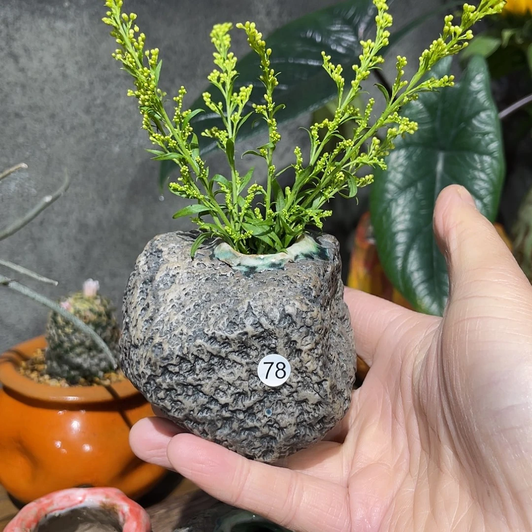 美***内口2.2外高6厘米左右