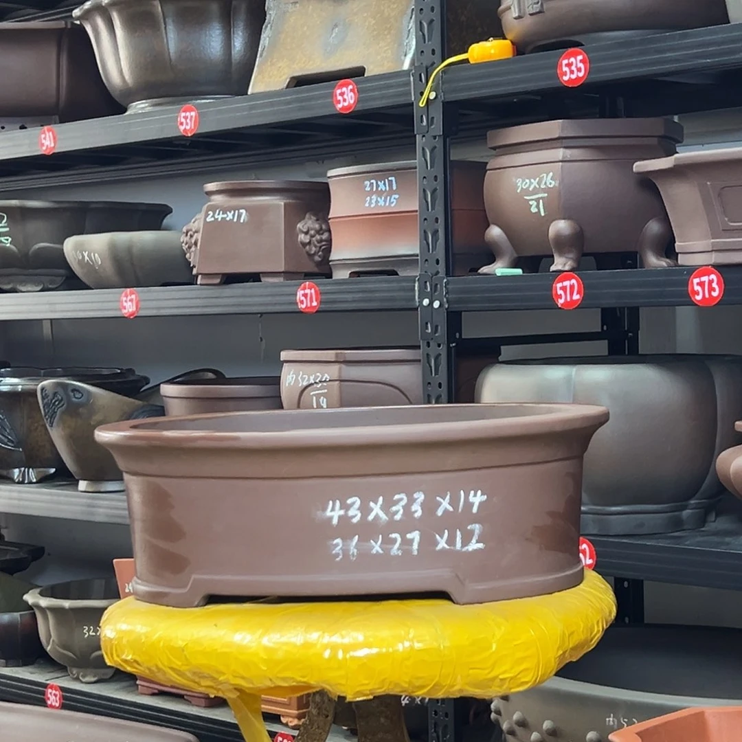 紫砂花盆呜呜呜呜呜