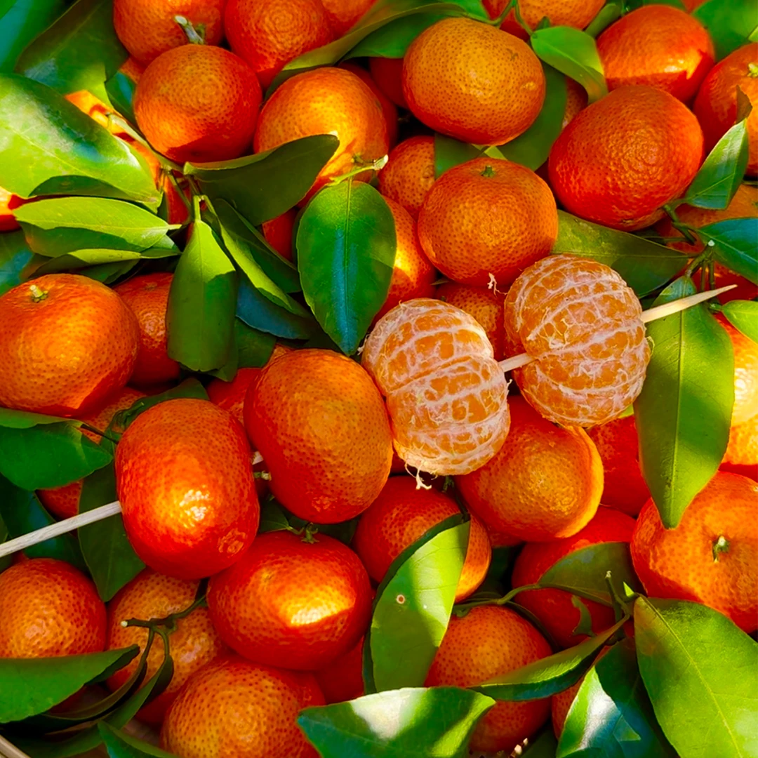 泡沫箱发货正宗广西砂糖橘5斤9斤新鲜水果当季超甜小橘子沙糖桔子