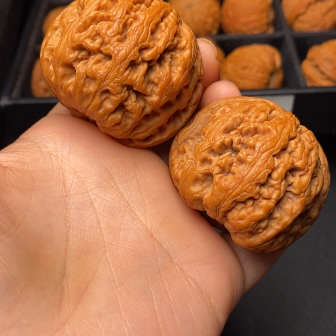 秦岭野生文玩核桃