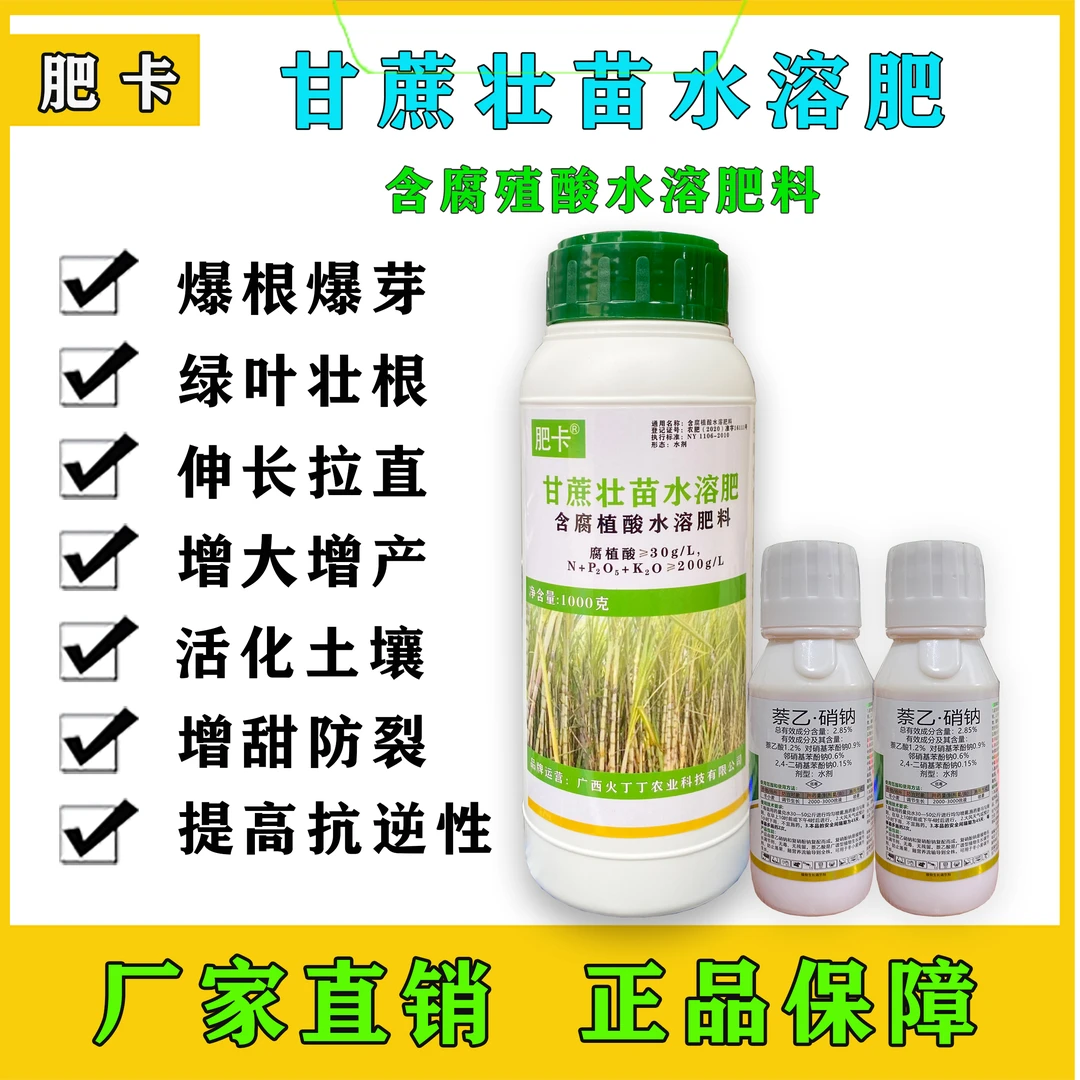 肥卡新宿根蔗拉长拉直爆根爆芽活化土壤膨大增粗提高抗逆性水溶肥