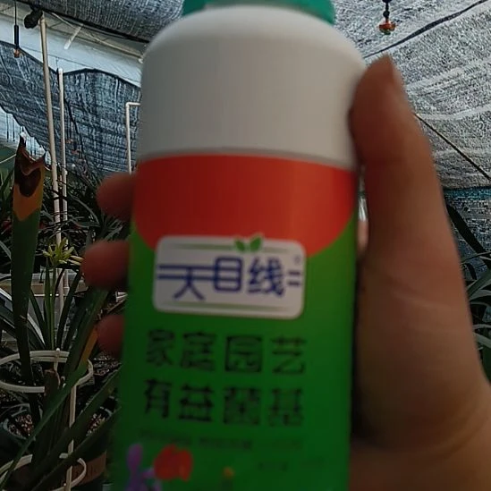 天目线有细益菌基 2瓶  2斤