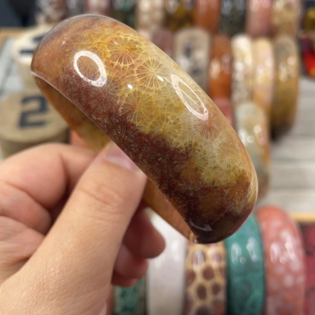 未镶嵌手镯硅化玉