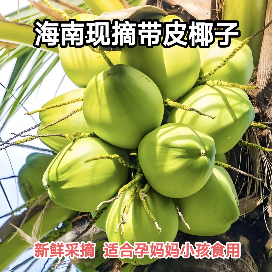 【5个装  30斤 】海南带皮青椰子纯天然热带水果 孕妇补羊水包邮