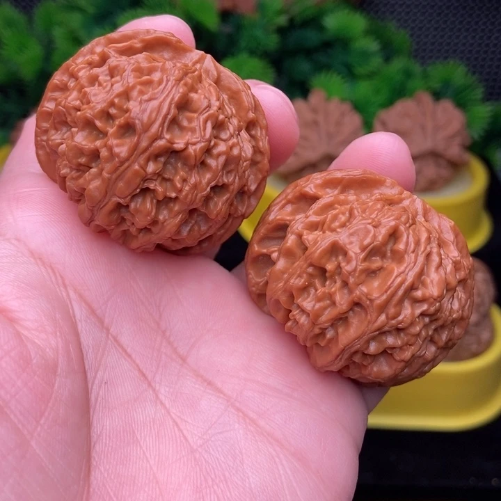 苹果园43全品111111