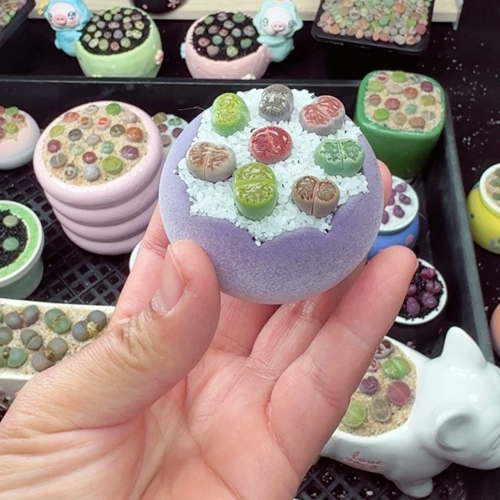 3031零下地区记得拍保温箱