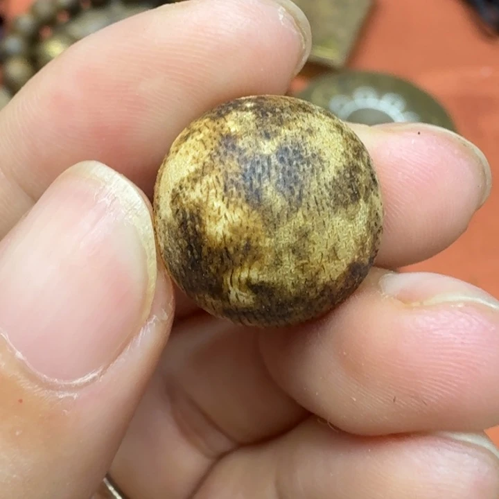 大叶紫檀（黑酸枝木类）