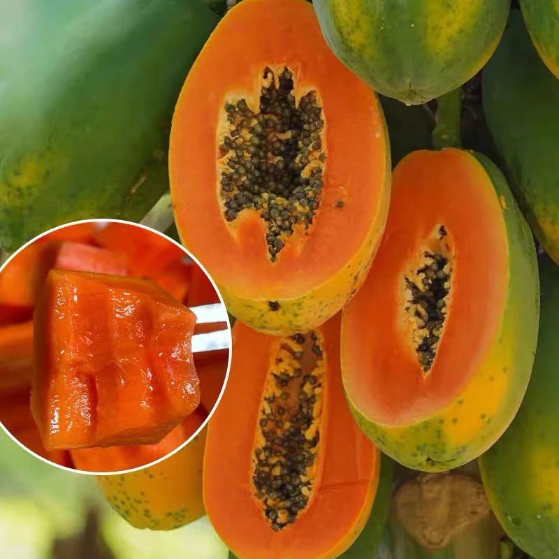 【力峰优选】冰糖红心木瓜，5斤发货海南省