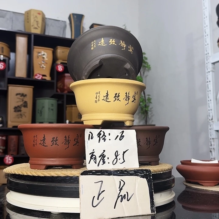 紫砂花盆盆友记紫砂