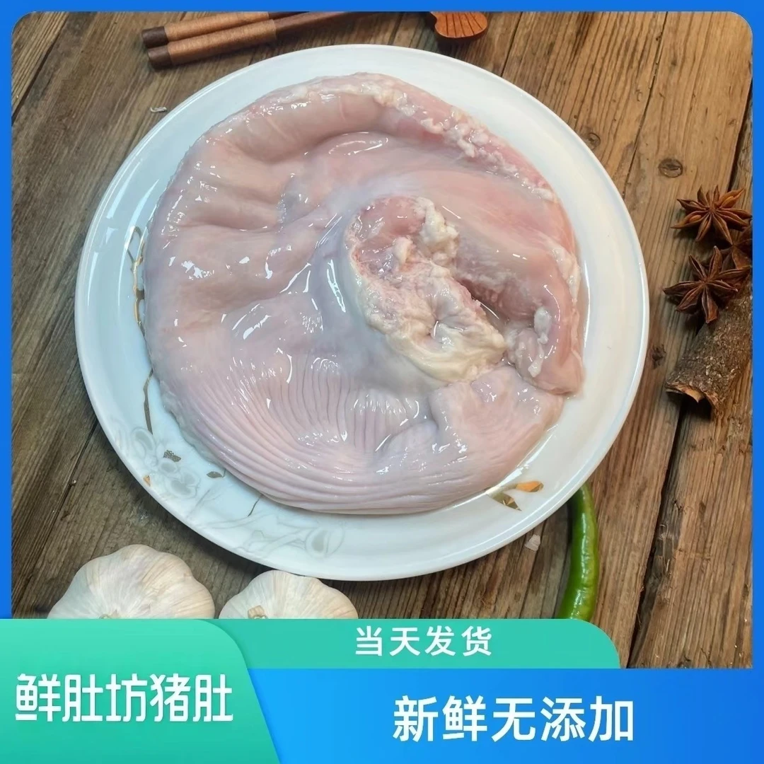 鲜肚坊手工清洗新鲜猪肚无水无油无添加白切爆炒煲汤必备食材