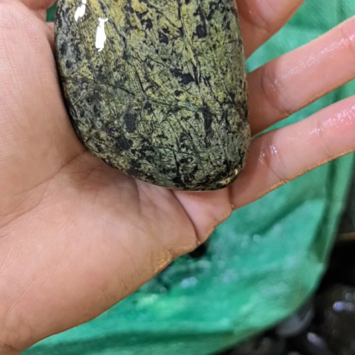 朱***靚有机玻璃藏玉药王石原石手把件一个