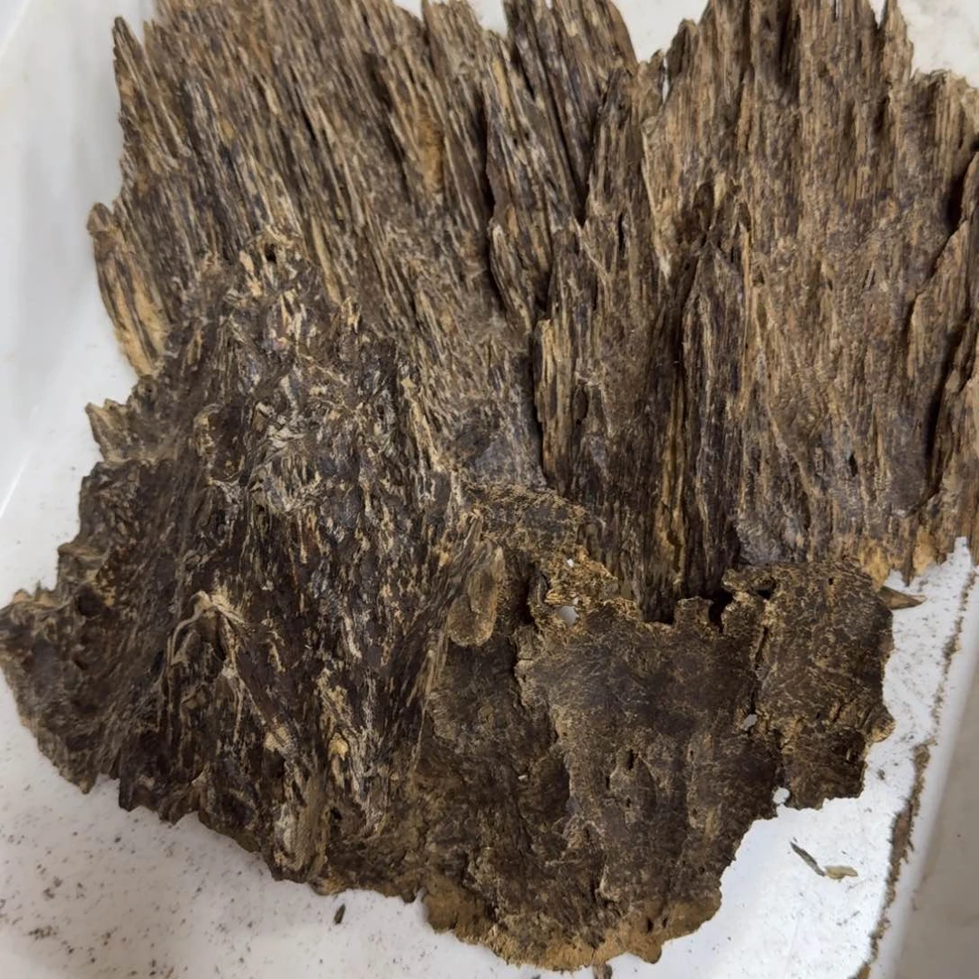 沉香沉香枕珠**遗块料沉香吊口251克多样性发货