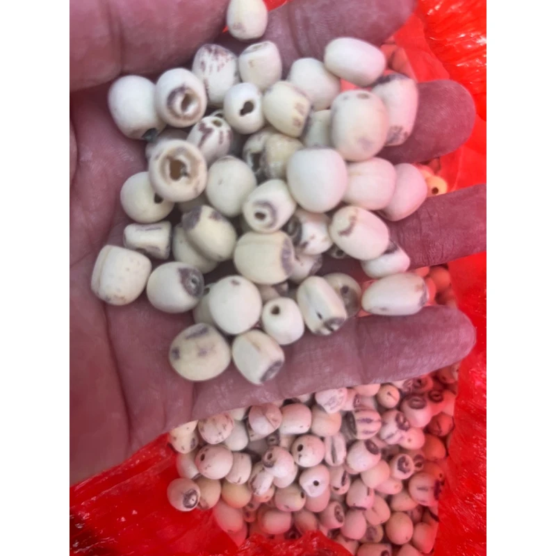 云南普者黑莲子250克