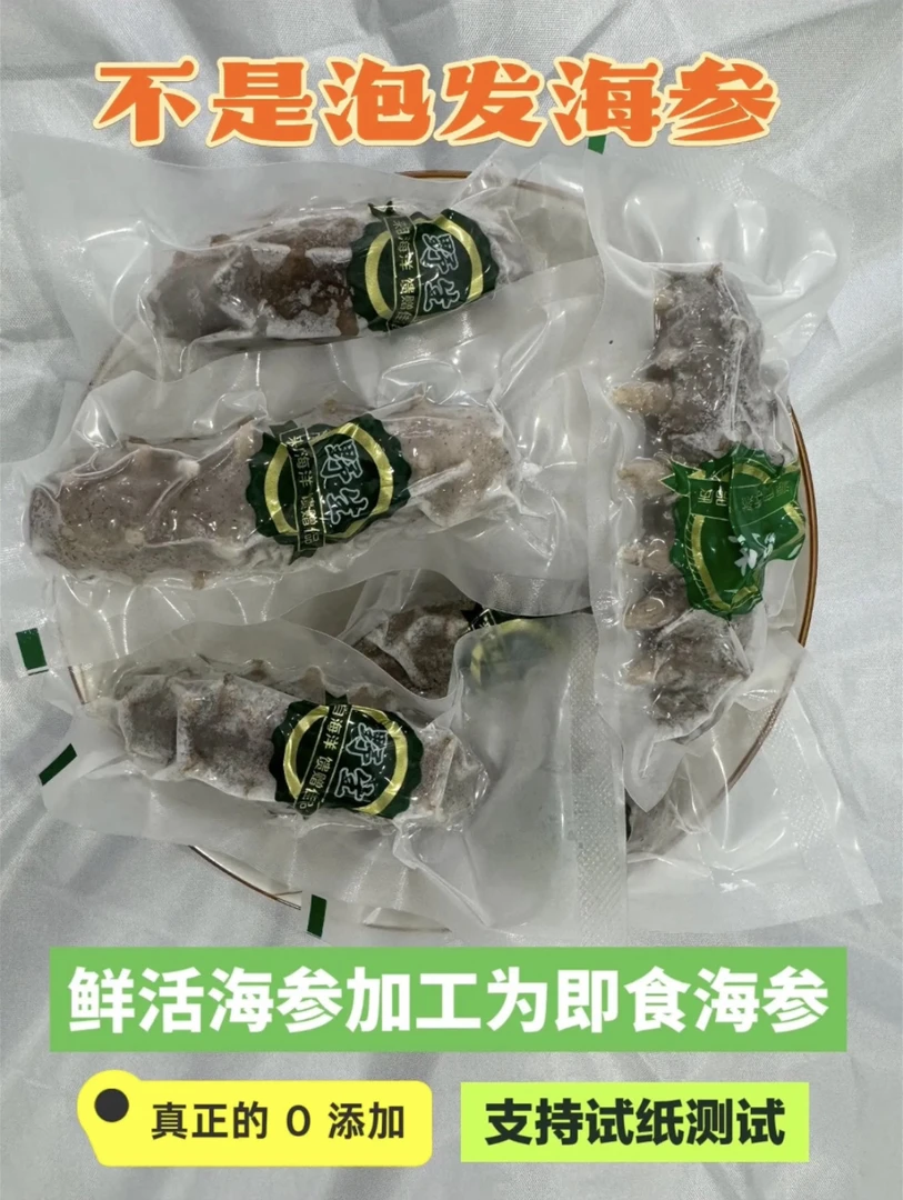 鲜食海参青岛刺参支持试纸检测开袋即食孕妈/老人/儿童食用好海参