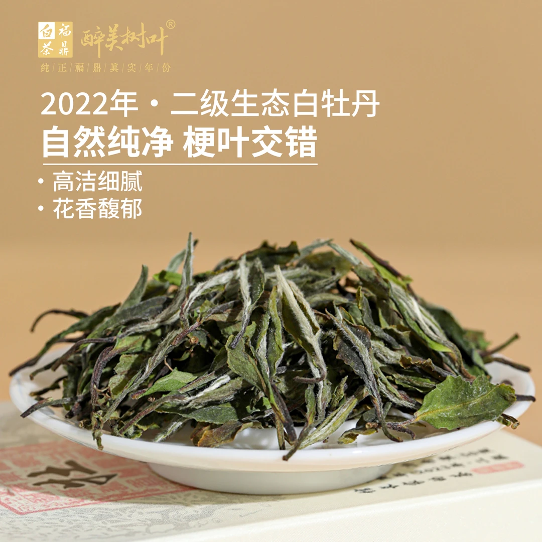 醉美树叶2023年二级白牡丹福鼎白茶源头工厂30g/罐