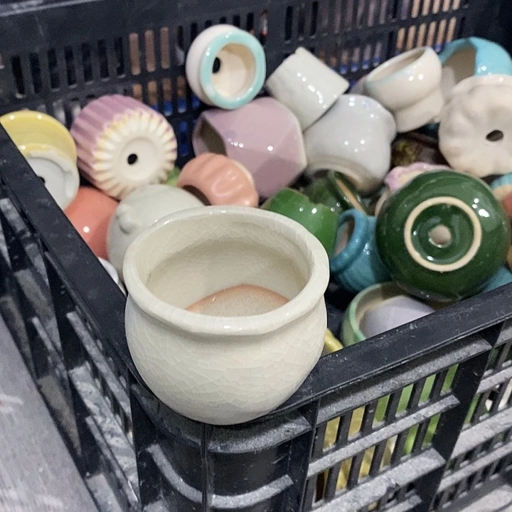 花盆抢购清货马上开始