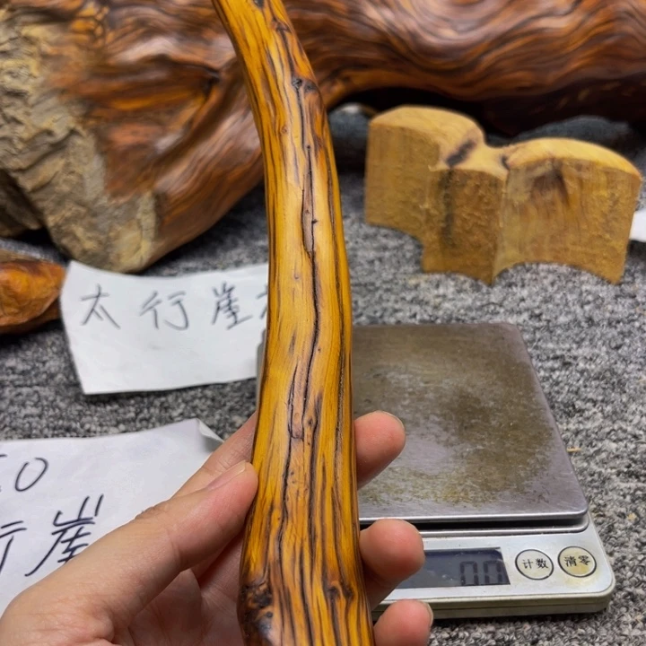 柏木（崖柏）崖柏42