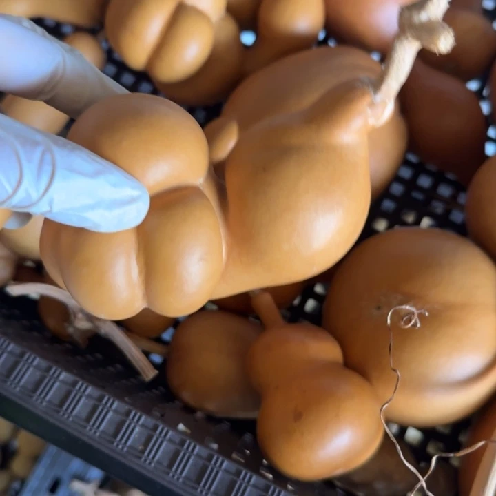 七***贸竹类老皮乌龟葫芦摆件