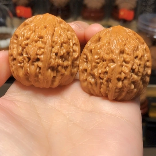 野生高端小众：蛮王