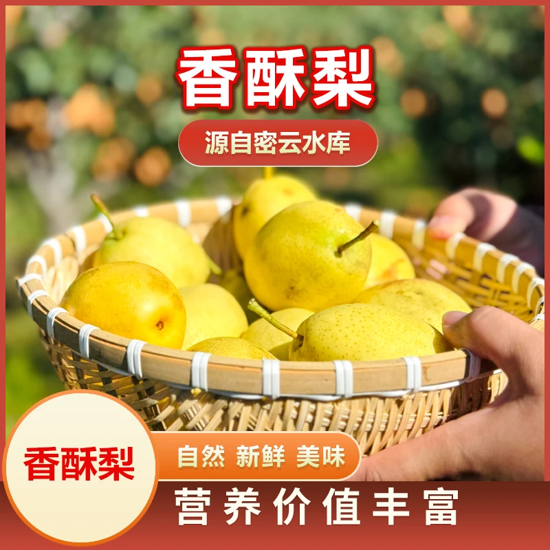 【红香酥梨】密云本地红香酥梨脆甜多汁新鲜采摘现采现发汁水充足京东顺丰包邮到家北京市北京市