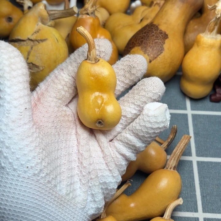 普***r葫芦66666666666666