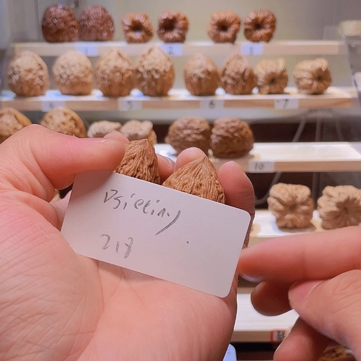 D***y文玩核桃把件鲸品南疆石核桃