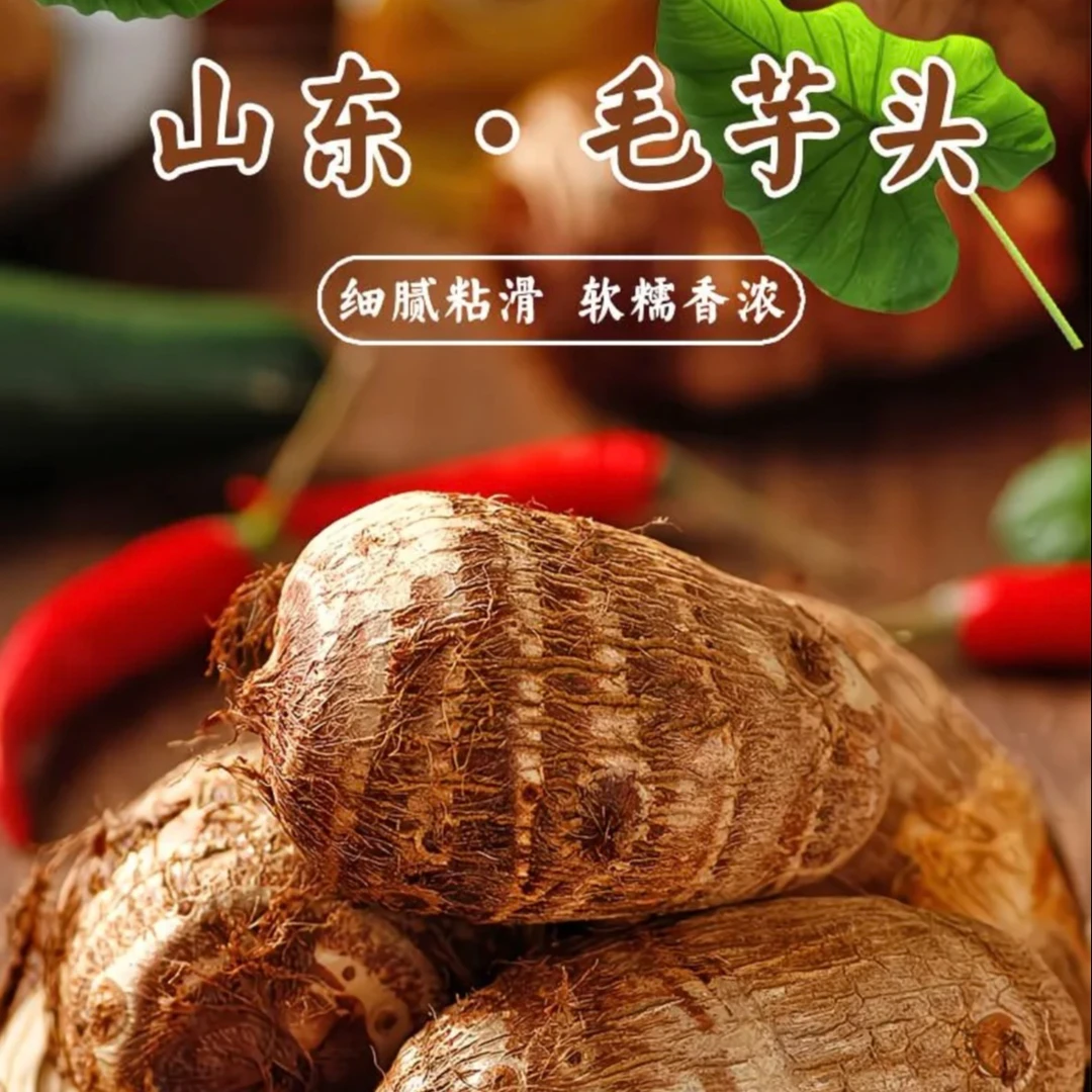 正宗山东牛奶芋头新鲜现挖毛小芋头子软糯奶香农家香芋产地直发