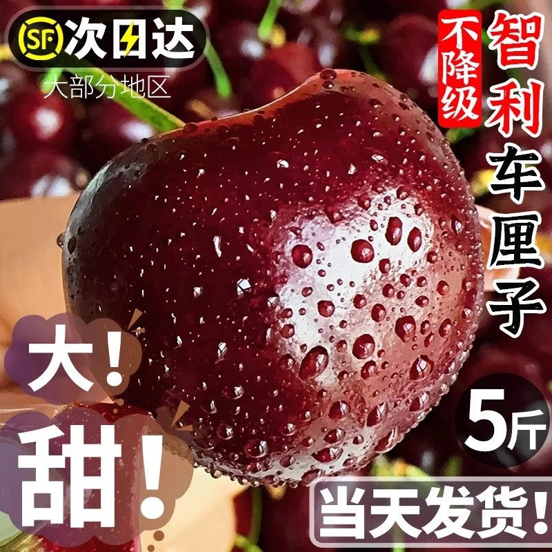 【原箱5斤】智利空运进口桑提娜车厘子应季水果脆甜2J-4J大樱桃净果2500g顺丰（内附果径卡）FZ桑提娜智利共和国