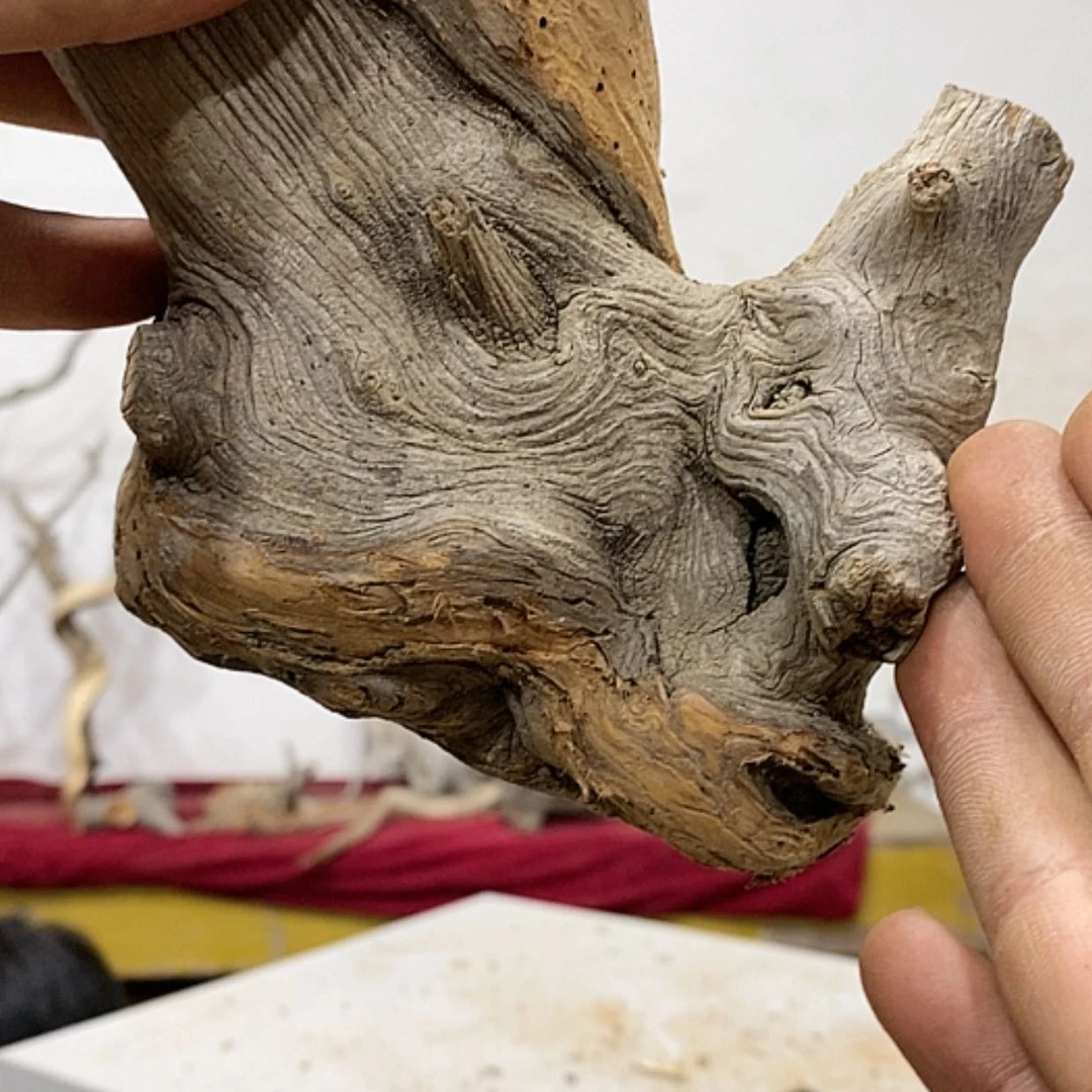 【闪购商品】柏木?****?我们都是好孩子