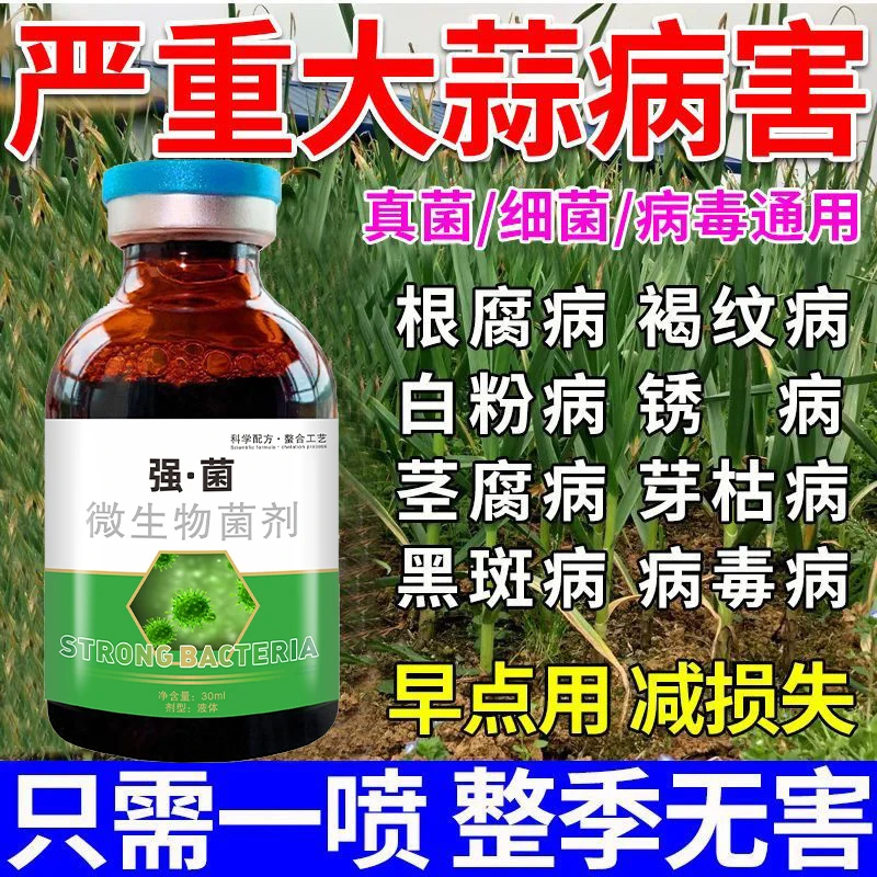 大蒜锈病专用药蒜苗专用药根腐病叶枯病干尖黄叶大蒜病全治杀菌剂